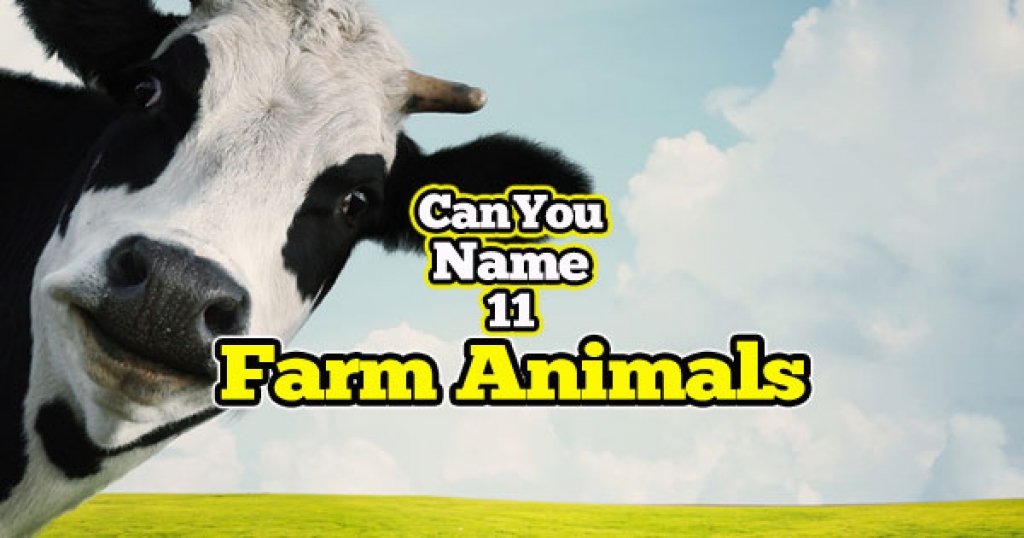 quizwow What Do You Call These Farm Animals?