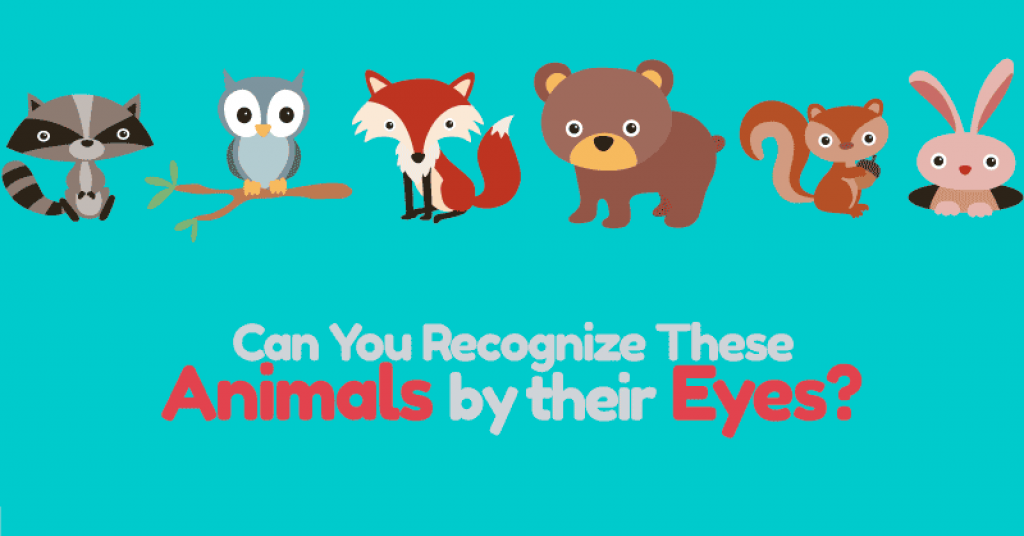 quizwow Can You Identify 13 Animals By Their Eyes?